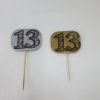 קיסם 13
