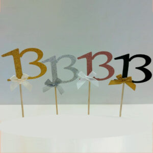 שיפוד “13”